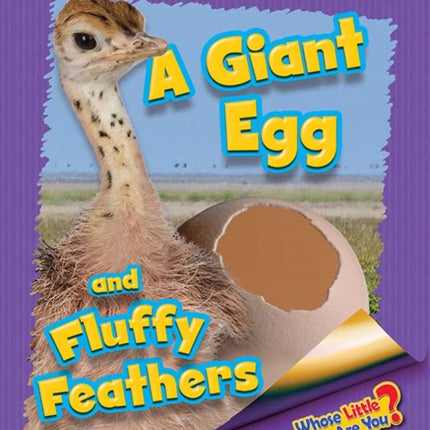 Whose Little Baby Are You? A Giant Egg and Fluffy Feathers