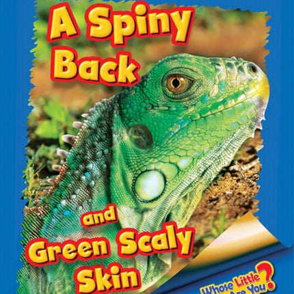 Whose Little Baby Are You? A Spiny Back and Green Scaly Skin