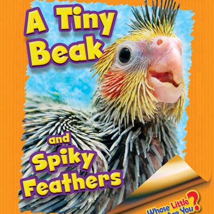 Whose Little Baby Are You? A Tiny Beak and Spiky Feathers