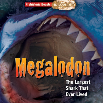 Megalodon: The Largest Shark That Ever Lived