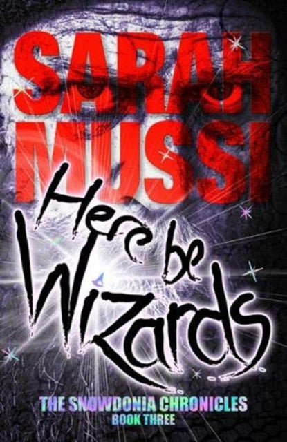 Here be Wizards: The Snowdonia Chronicles: Book Three