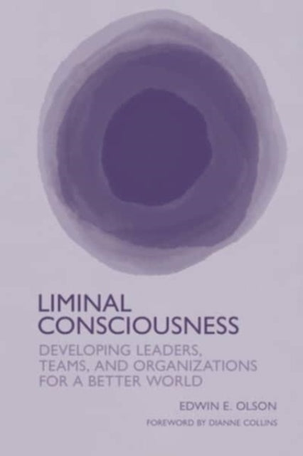 Liminal Consciousness: Developing Leaders, Teams, and Organizations for a Better World