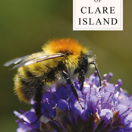 New Survey of Clare Island Volume 10: Land and freshwater fauna