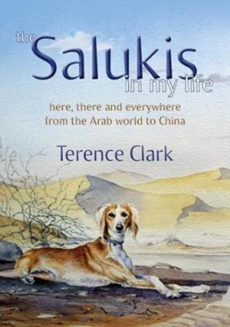 The Salukis in My Life: From the Arab world to China