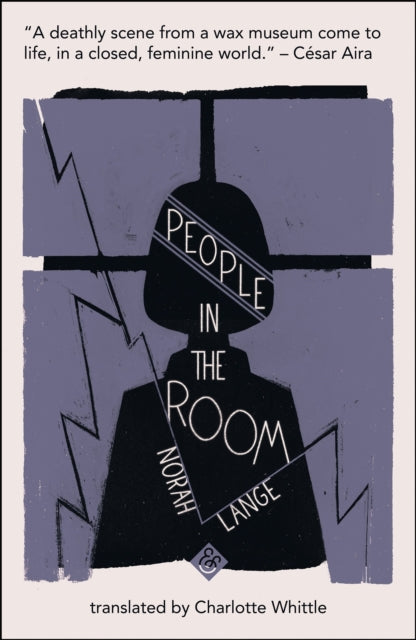 People in the Room: Shortlisted for the 2019 Warwick Prize for Women in Translation