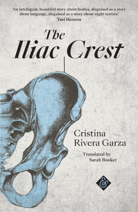 The Iliac Crest