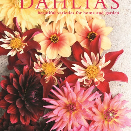 Dahlias: Beautiful varieties for home and garden