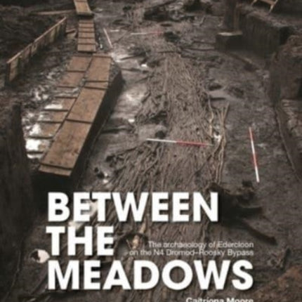Between the Meadows: The archaeology of Edercloon