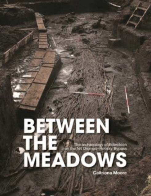 Between the Meadows: The archaeology of Edercloon