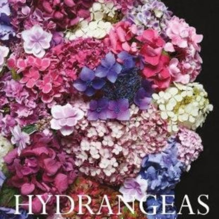 Hydrangeas: Beautiful varieties for home and garden