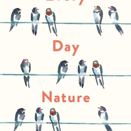 Every Day Nature: How noticing nature can quietly