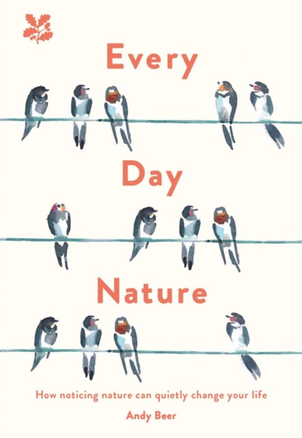 Every Day Nature: How noticing nature can quietly change your life