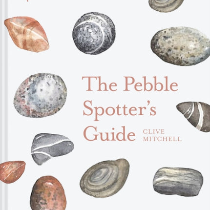 The Pebble Spotter's Guide