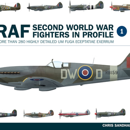 Raf Second World War Fighters in Profile