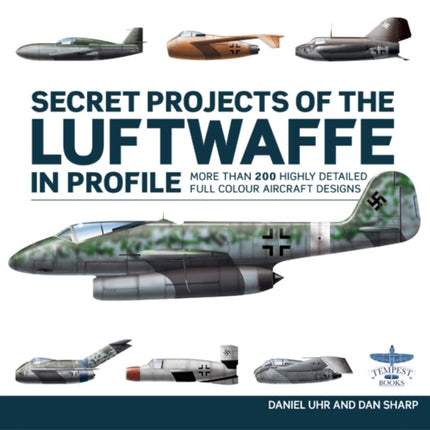 Secret Projects of the Luftwaffe In Profile