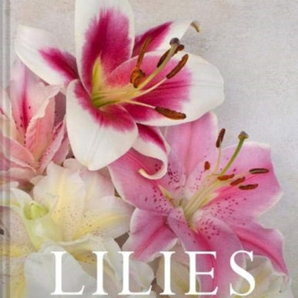 Lilies: Beautiful varieties for home and garden