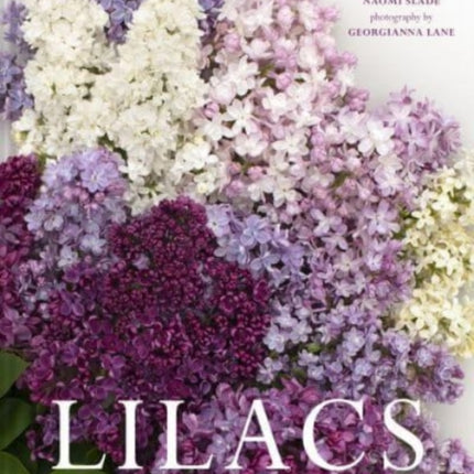 Lilacs