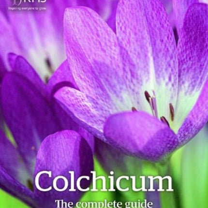 Colchicum: The Complete Guide