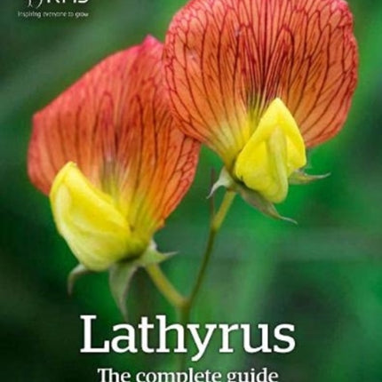 Lathyrus: The Complete Guide