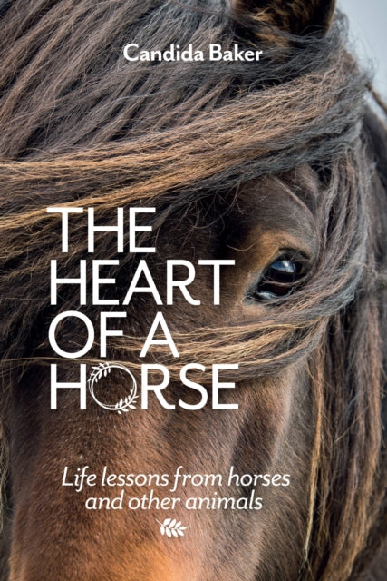 The Heart of a Horse: Life lessons from horses and other animals