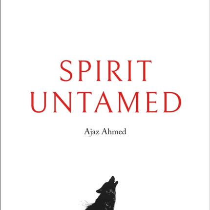 Spirit Untamed