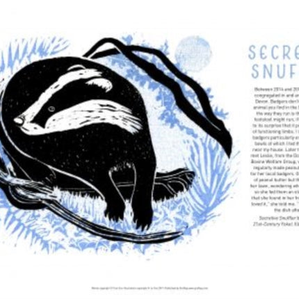 Tom Cox's 21st Century Yokel Poster: Secretive