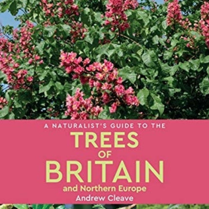 A Naturalist’s Guide to the Trees of Britain and