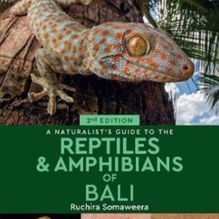 A Naturalist's Guide to the Reptiles & Amphibians of Bali (2nd edition)