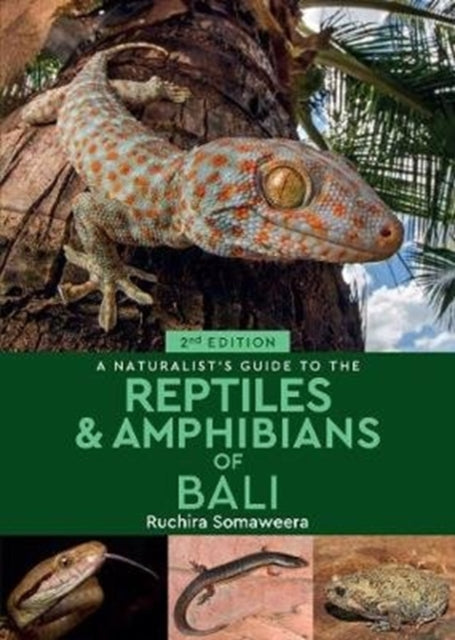 A Naturalist's Guide to the Reptiles & Amphibians of Bali (2nd edition)