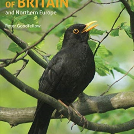 An Identification Guide to Birds of Britain and Northern Europe (2nd edition)