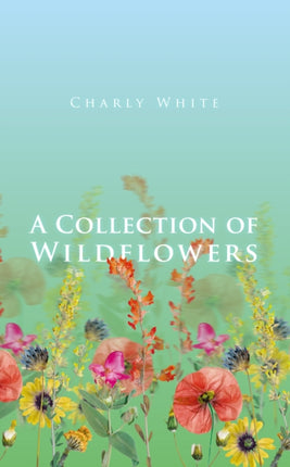 A Collection of Wildflowers