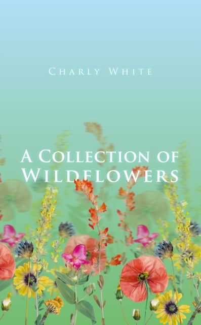 A Collection of Wildflowers