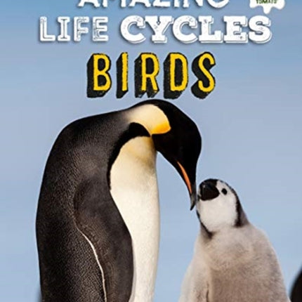 Birds - Amazing Life Cycles