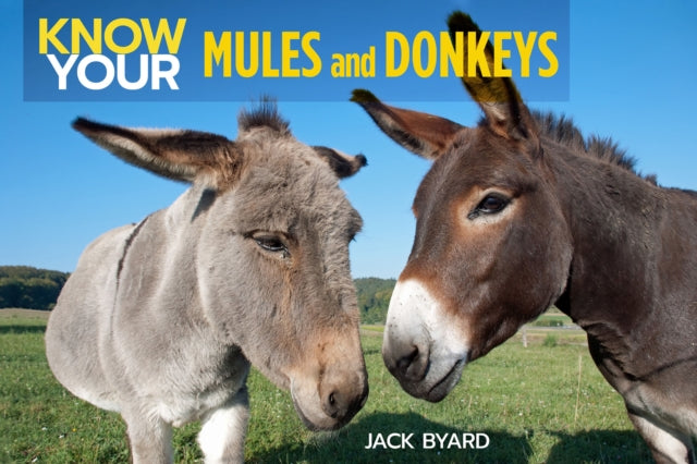 Know Your Donkeys & Mules