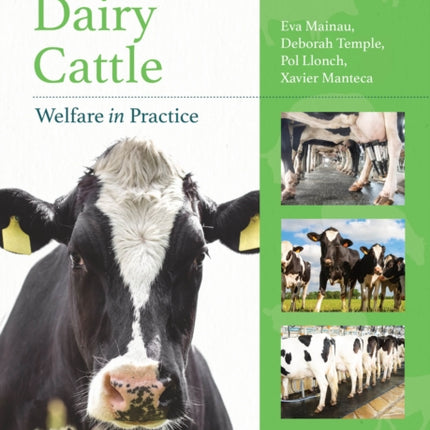 Dairy Cattle Welfare in Practice