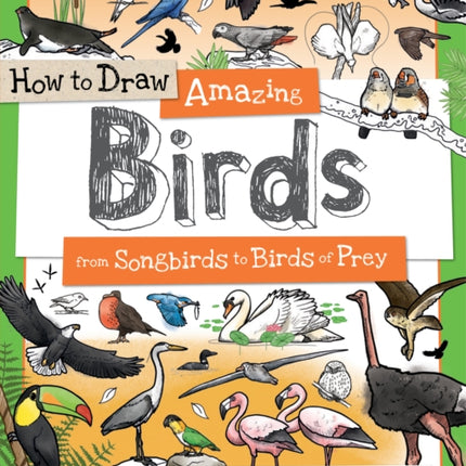 How To Draw Amazing Birds