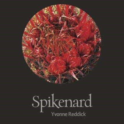 Spikenard