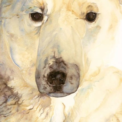 Jackie Morris Poster: Ice Bear Poster, The