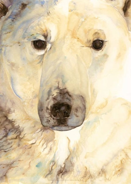 Jackie Morris Poster: Ice Bear Poster, The