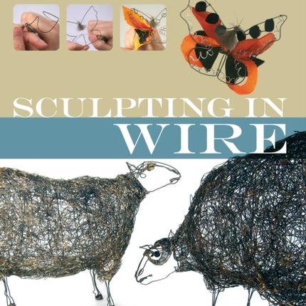 Sculpting in Wire