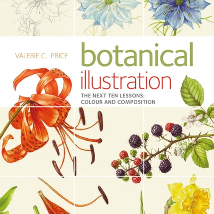 Botanical Illustration: The Next Ten Lessons:
