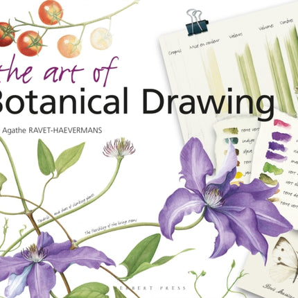 The Art of Botanical Drawing
