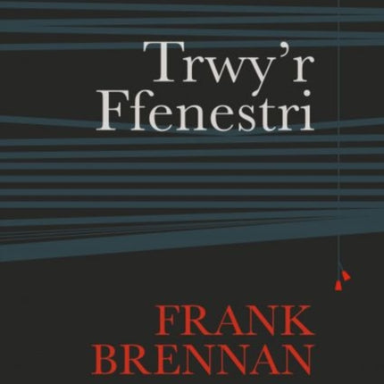 Cyfres Amdani: Trwy'r Ffenestri