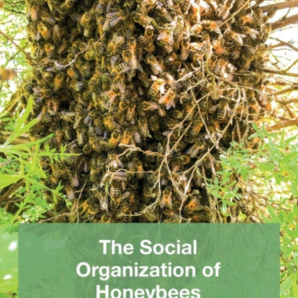 The Social Organisation of Honeybees