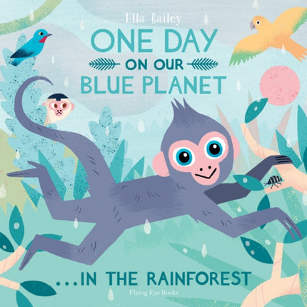 One Day On Our Blue Planet ...In the Rainforest