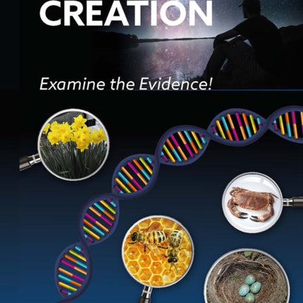 Considering Creation: Examine the Evidence