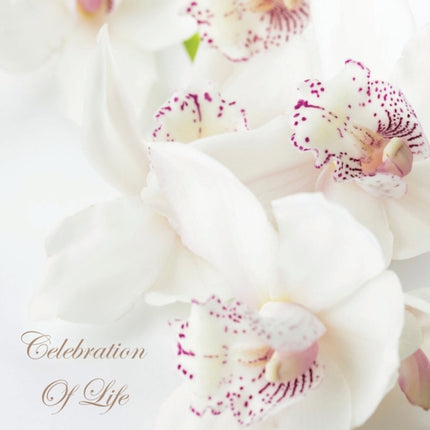 Celebration of Life In Loving Memory Funeral Guest Book Wake Loss Memorial Service Love Condolence Book Funeral Home Missing You Church Thoughts and In Memory Guest Book Hardback