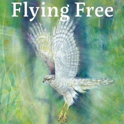 Flying Free