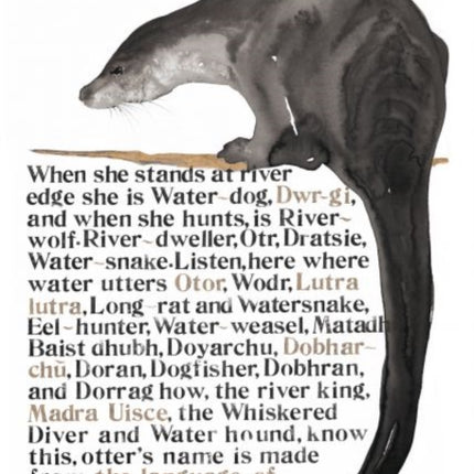Jackie Morris Poster: Names of the Otter, The