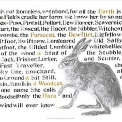 Jackie Morris Poster: Names of the Hare, The